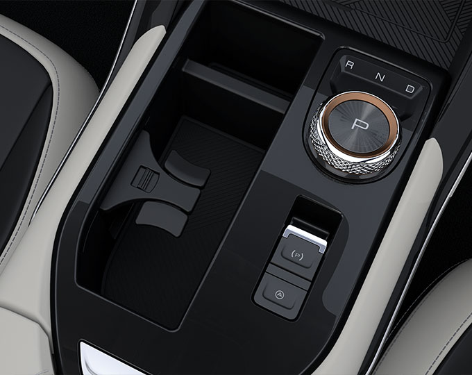 High-gloss shift knob